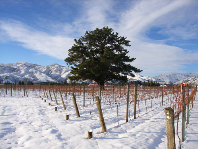 5 tipů, jaká vína pít v zimě